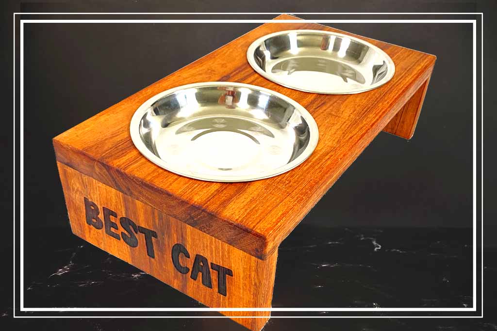 Comedero & Bebedero para Gatos